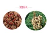 《落花生》课件
