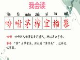 《落花生》课件