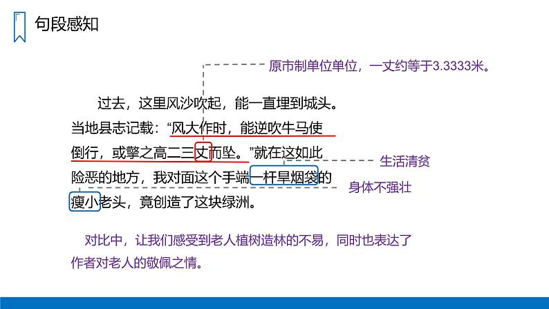 《青山不老》人教版六年级上册语文PPT课件第7页