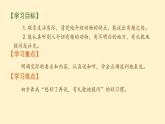 统编版语文二年级上册口语交际：有趣的动物 课件