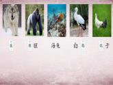 统编版语文二年级上册语文园地八  课件