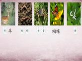统编版语文二年级上册语文园地八  课件