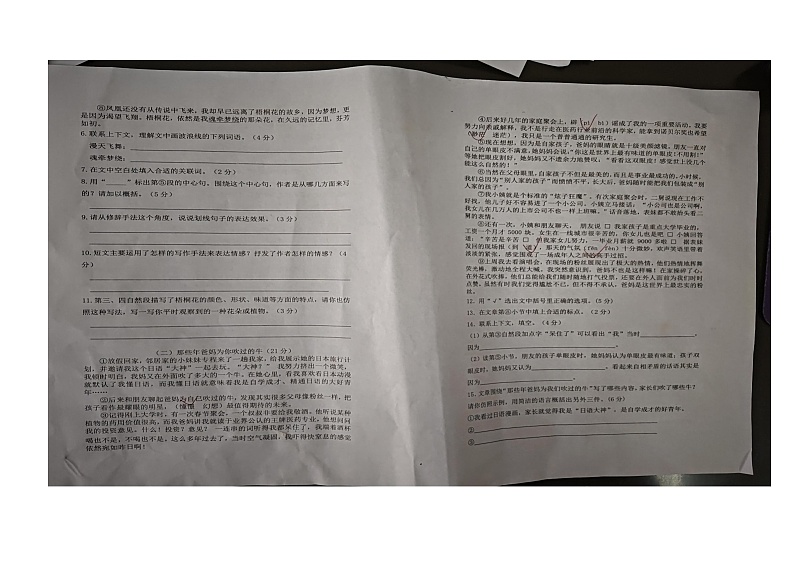 山东省东营市广饶县乐安中学2024-2025学年（五四学制）六年级上学期开学语文试题02