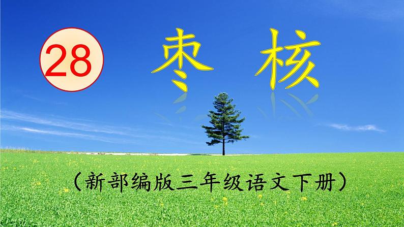 部编三年级下册 《枣核》 课件01