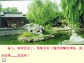 1.古诗二首《咏柳》课件-2024-2025学年统编版语文二下