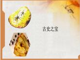 5.琥珀（课件）-2024-2025学年统编版语文四下