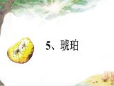 5.琥珀（课件）-2024-2025学年统编版语文四下