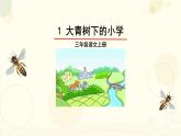 《大青树下的小学》课件  小学语文统编版2024三年级上册