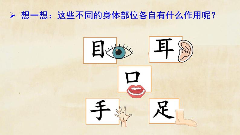 统编版语文一上 识字3《口耳目手足》课件PPT+音视频素材07