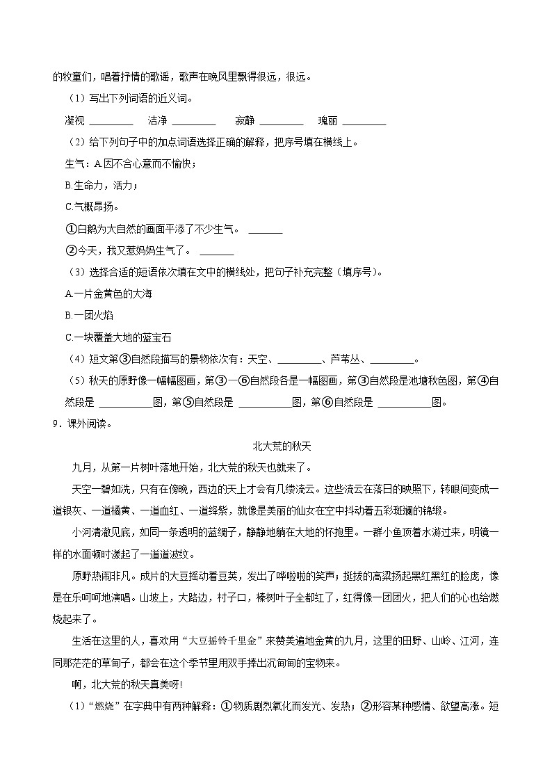 5 铺满金色巴掌的水泥道（拔尖练习）2024-2025学年三年级上册语文统编版03