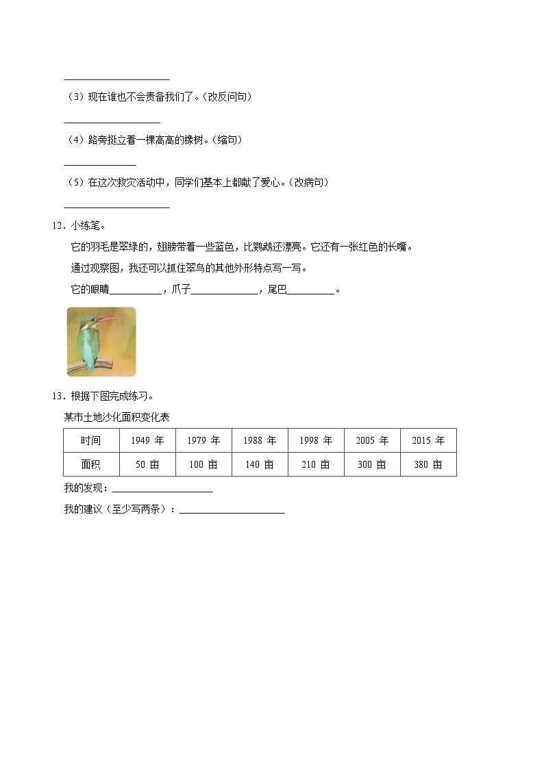 15 搭船的鸟（提高练习）2024-2025学年三年级上册语文统编版第3页