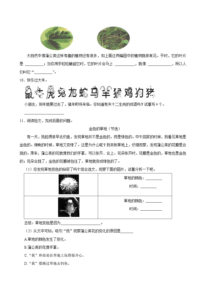16 金色的草地（提高练习）2024-2025学年三年级上册语文统编版第3页