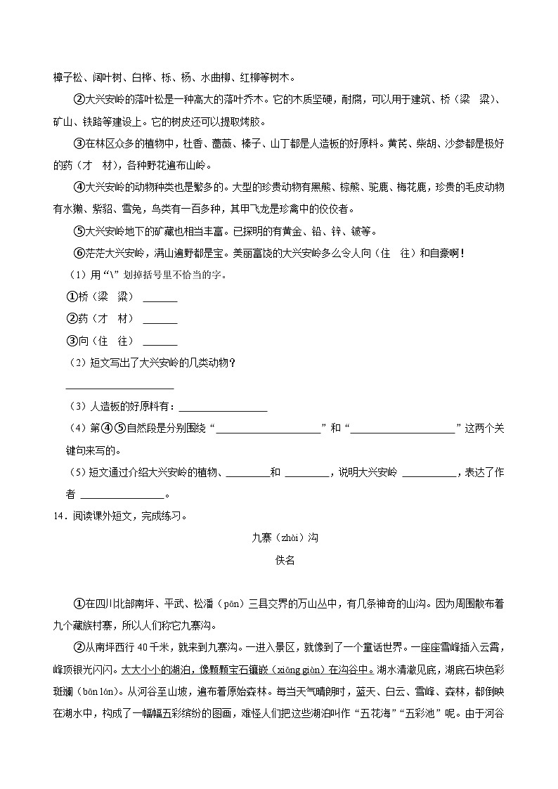 20 美丽的小兴安岭（拔尖练习）2024-2025学年三年级上册语文统编版第3页