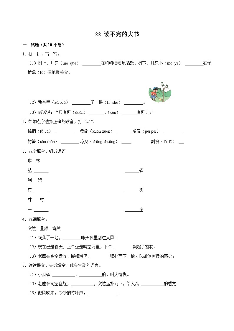 22 读不完的大书（基础练习）2024-2025学年三年级上册语文统编版01