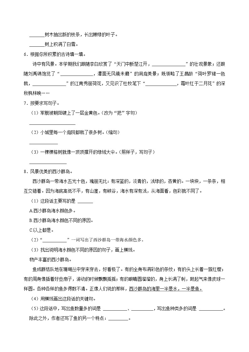 第六单元练习卷 （基础练习）2024-2025学年三年级上册语文统编版02