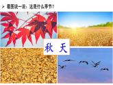 統(tǒng)編版語(yǔ)文一上 1《秋天》課件PPT+音視頻素材