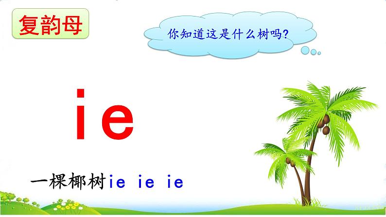 统编版语文一上 汉语拼音12《 ie üe er 》课件PPT+音视频素材05