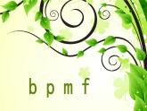 《b p m f》名师精品课件