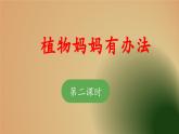 《植物妈妈有办法》 课件（第二课时）