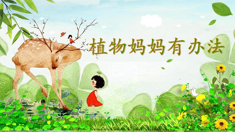 《植物妈妈有办法》公开课课件第1页