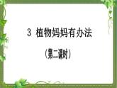 《植物妈妈有办法》基于标准的教学课件（第二课时）