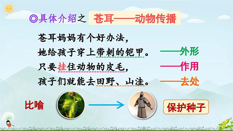 《植物妈妈有办法》精品课件（第二课时）第4页