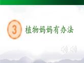 《植物妈妈有办法》精选课件（第二课时）