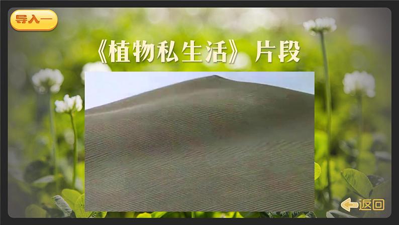 《植物妈妈有办法》精品课件（第一课时）第3页