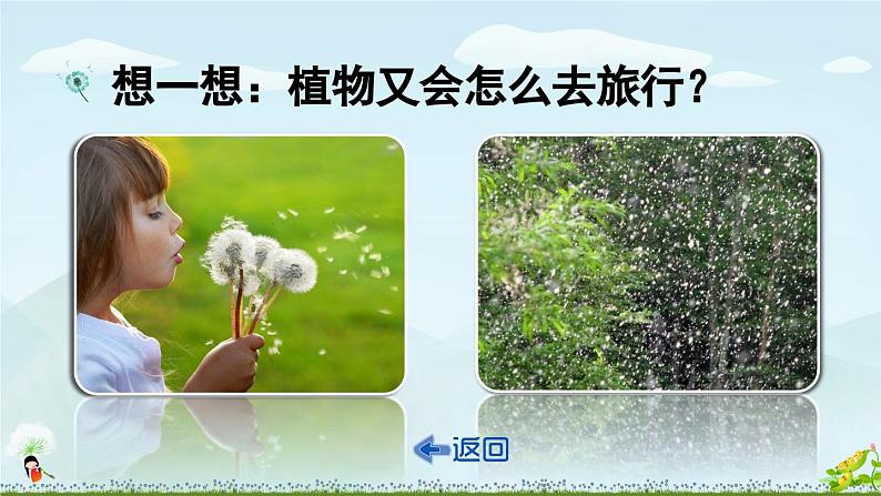 《植物妈妈有办法》精品课件（第一课时）第5页