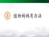 《植物妈妈有办法》精选课件（第一课时）