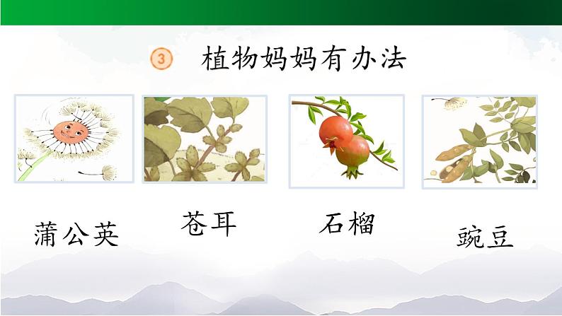 《植物妈妈有办法》精选课件（第一课时）第6页