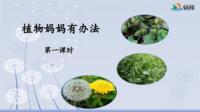 《植物妈妈有办法》名师课件（第一课时）第2页