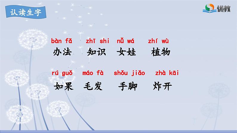 《植物妈妈有办法》名师课件（第一课时）第5页