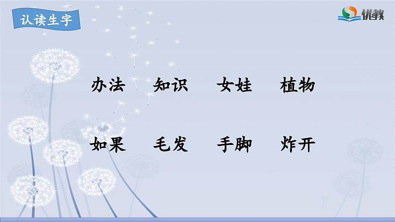 《植物妈妈有办法》名师课件（第一课时）第6页