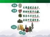 【北京】《树之歌》名师课件（第二课时）
