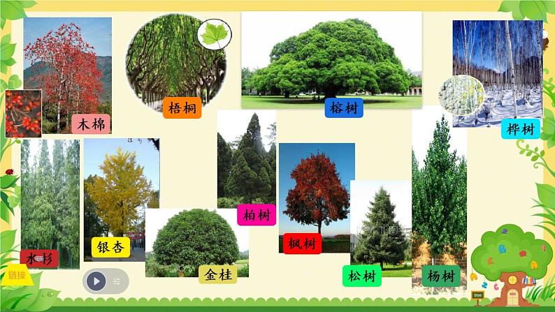 【部优】《树之歌》公开课课件第5页