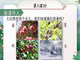 统编版2024（秋）语文一上 4《四季》课件+教案+音视频素材