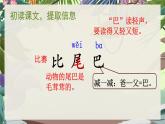 統(tǒng)編版2024（秋）語(yǔ)文一上 8《比尾巴》課件+教案+音視頻素材