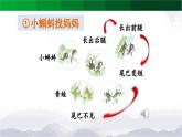 二上《语文园地一》精选课件（第三课时）