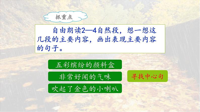 《秋天的雨》名师课件（第二课时）第6页