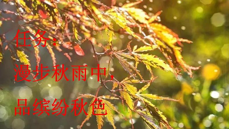 《秋天的雨》新课标课件（第一课时）第1页