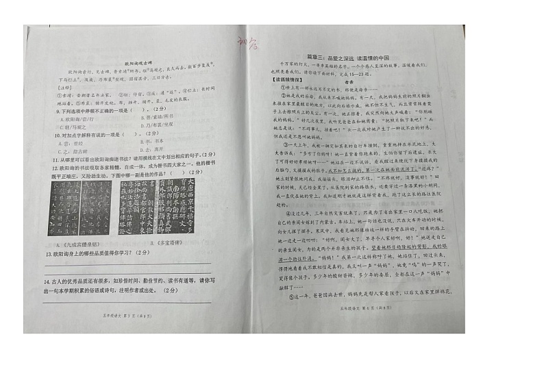 山东省聊城市阳谷县2023-2024学年五年级上学期期末质量检测语文试题第2页