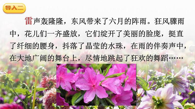 《花的学校》精品课件（第一课时）04