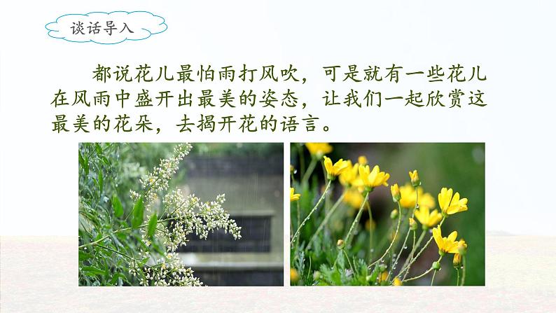 《花的学校》名师课件（第二课时）第4页