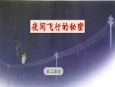 《夜间飞行的秘密》 课件（第二课时）