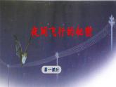 《夜间飞行的秘密》 课件（第一课时）