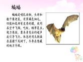 《夜间飞行的秘密》公开课课件