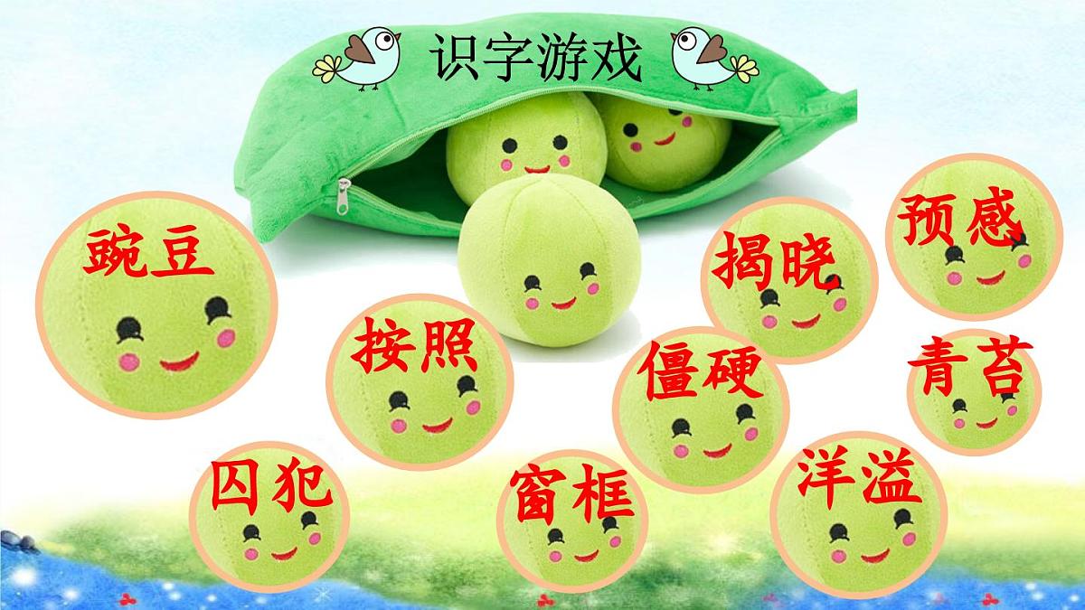 《一个豆荚里的五粒豆》优质课件（第一课时）第6页