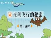 《夜间飞行的秘密》优质课件（第一课时）