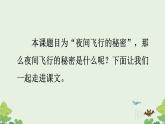 《夜间飞行的秘密》优质课件（第一课时）